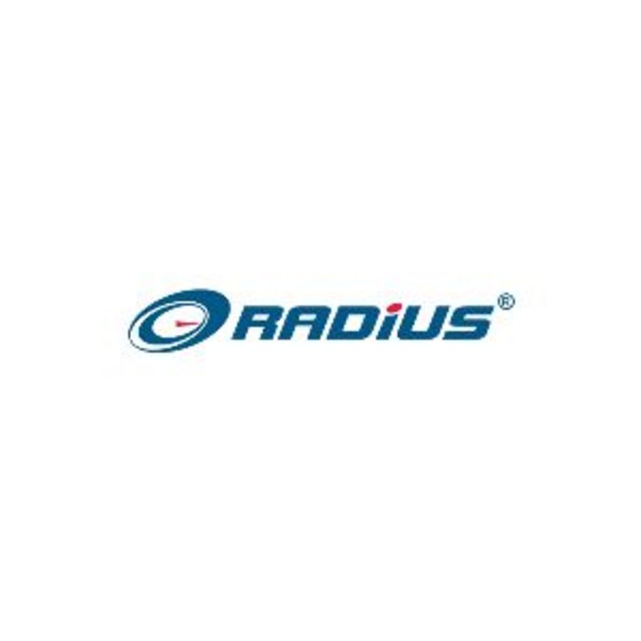 Sales Executive at Radius Synergies International, Noida