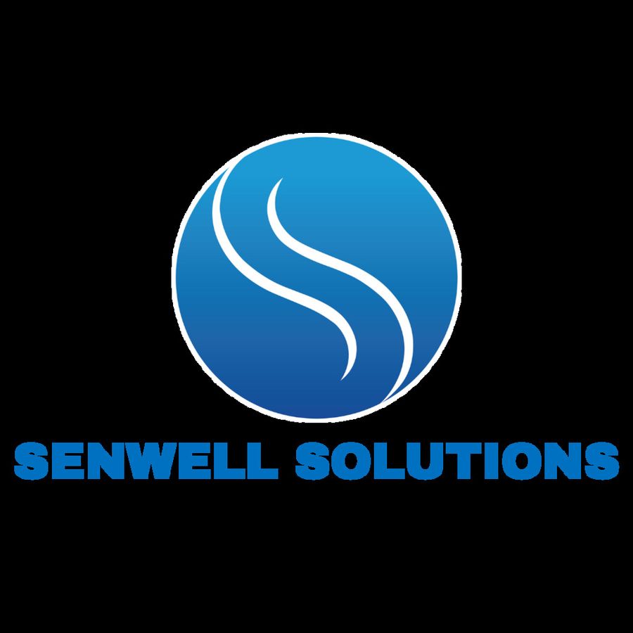 International Business Development Executive at Senwell Solutions, Pune