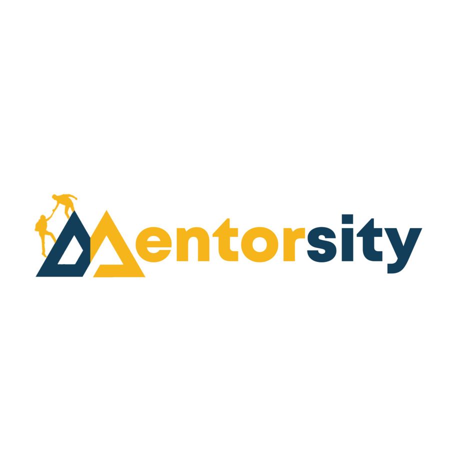 Digital Marketing Manager at Mentorsity Private Limited, Delhi/NCR