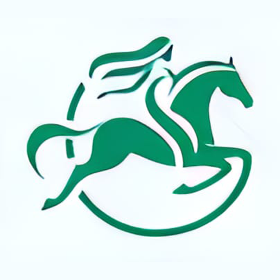 Field Executive Finance Advisor at Easy Finance, Bengaluru/Bangalore