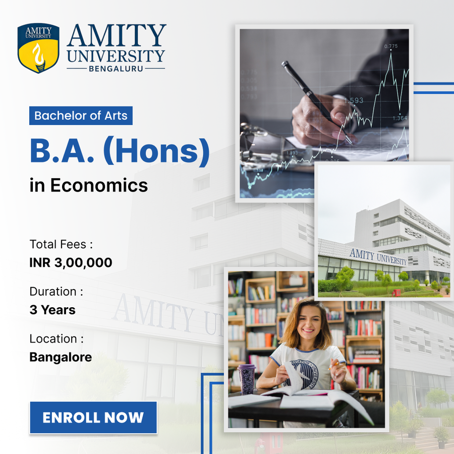 Bachelor of Arts (B.A) Hons in Economics at Amity University, Bengaluru/Bangalore